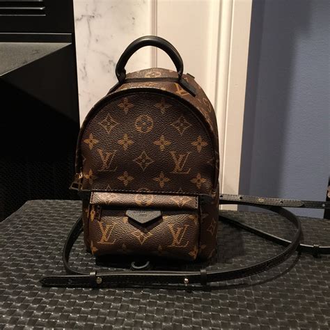 louis vuitton palm springs backpack mini france|palm springs backpack mini price.